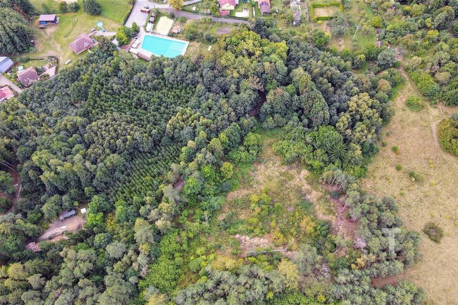 dji_fly_20250915_105014_227_1757926228687_photo.JPG